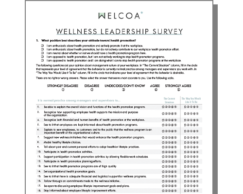 Assess Your Company’s Leadership Support for Your Workplace Wellness initiative